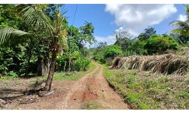 Venta de Lote de Terreno de 1.950 m² en Chilibre.