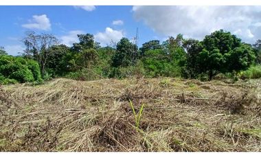 Venta de Lote de Terreno de 1.950 m² en Chilibre.