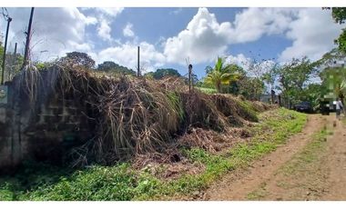 Venta de Lote de Terreno de 1.950 m² en Chilibre.