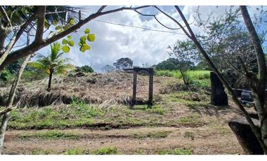 Venta de Lote de Terreno de 1.950 m² en Chilibre.