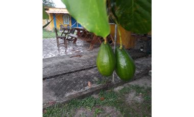 VENTA CASA CON TERRENO EN LAS LAJAS DE CHAME  GANGA CPR