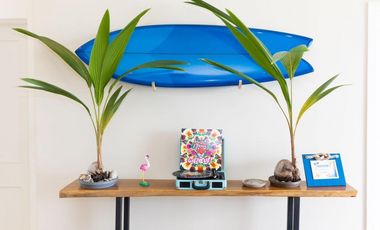 Se Alquila Apartamento en punta caelo , san carlos