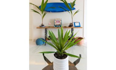 Se Alquila Apartamento en punta caelo , san carlos