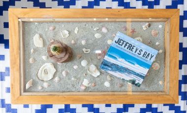 Se Alquila Apartamento en punta caelo , san carlos