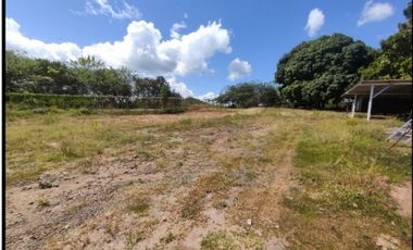 MINI WAREHOUSES with LAND in Chame