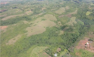 Se Venden Fincas adyacentes San Carlos potencial para desarrollo(LM)