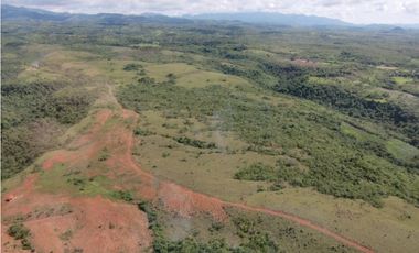 Se Venden Fincas adyacentes San Carlos potencial para desarrollo(LM)