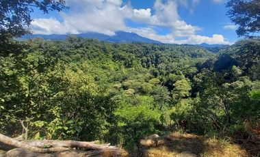 Se vende finca cafetera en Alto Boquete, Chiriquí