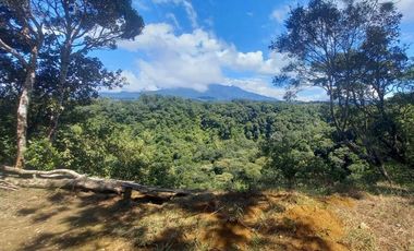 Se vende finca cafetera en Alto Boquete, Chiriquí
