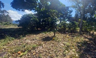 Se vende finca cafetera en Alto Boquete, Chiriquí