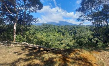 Se vende finca cafetera en Alto Boquete, Chiriquí