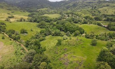 Se vende finca en La Chorrera, Panamá Oeste