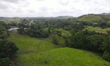 Se vende finca en La Chorrera, Panamá Oeste