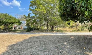 Se vende lote en Club de Golf, Coronado, Chame