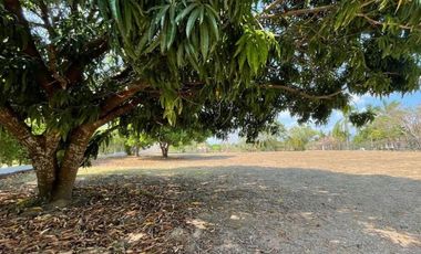 Se vende lote en Club de Golf, Coronado, Chame
