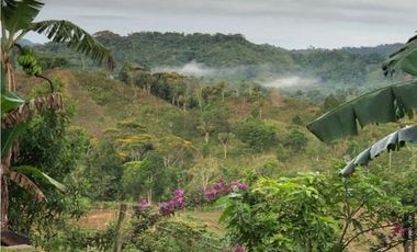 Venta de Terreno en Capira