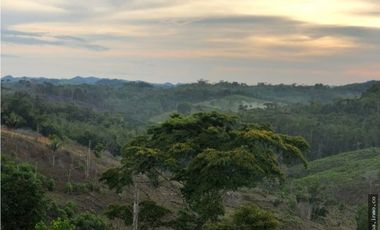 Venta de Terreno en Capira