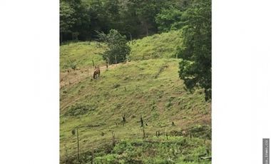 Venta de Terreno en Capira