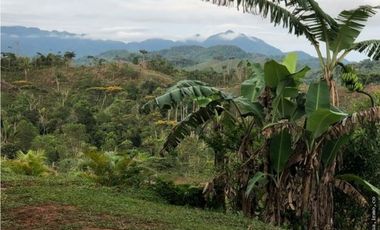 Venta de Terreno en Capira
