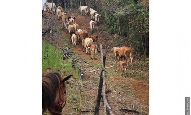 Venta de Terreno en Capira