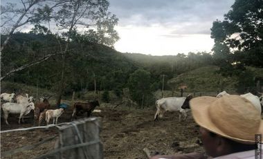 Venta de Terreno en Capira