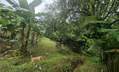 Venta de Terreno de 1 hectárea+ 5,326 mts en El Cacao/ Capira