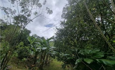 Venta de Terreno de 1 hectárea+ 5,326 mts en El Cacao/ Capira