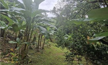 Venta de Terreno de 1 hectárea+ 5,326 mts en El Cacao/ Capira