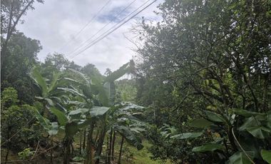 Venta de Terreno de 1 hectárea+ 5,326 mts en El Cacao/ Capira