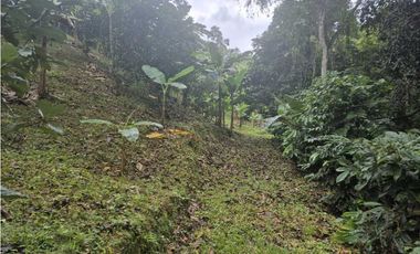 Venta de Terreno de 1 hectárea+ 5,326 mts en El Cacao/ Capira