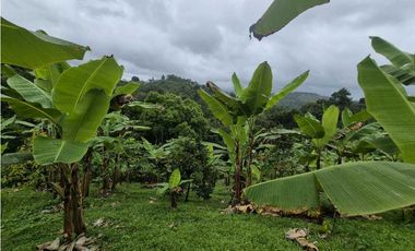 Venta de Terreno de 1 hectárea+ 5,326 mts en El Cacao/ Capira