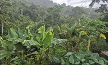 Venta de Terreno de 1 hectárea+ 5,326 mts en El Cacao/ Capira