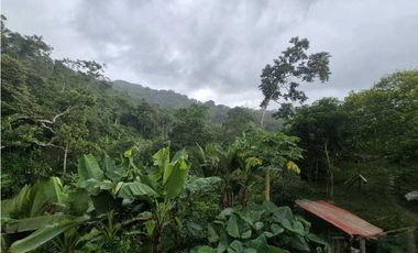 Venta de Terreno de 1 hectárea+ 5,326 mts en El Cacao/ Capira