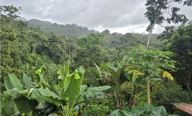Venta de Terreno de 1 hectárea+ 5,326 mts en El Cacao/ Capira