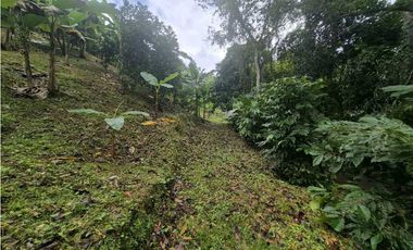 Venta de Terreno de 1 hectárea+ 5,326 mts en El Cacao/ Capira