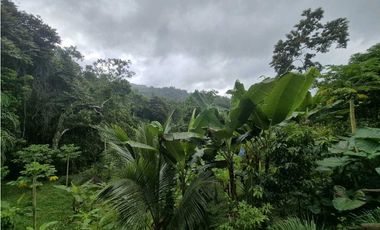 Venta de Terreno de 1 hectárea+ 5,326 mts en El Cacao/ Capira
