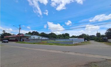 Lote Comercial  Alquiler  Las Lomas David