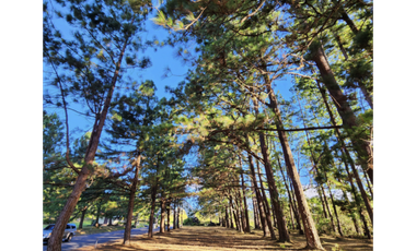 Ventas de residencias en Boquete Country Club