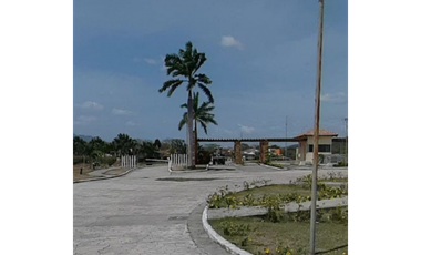 VENTA TERRENO NUEVA GORGONA