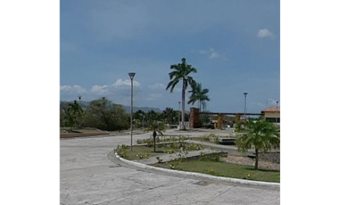 VENTA TERRENO NUEVA GORGONA