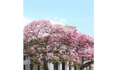 VENTA DE APARTAMENTOS EN CASCO ANTIGUO, LAS CLEMENTINAS - PANAM