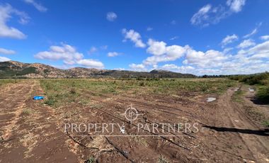 Campo Premium de Alta Productividad Agrícola
