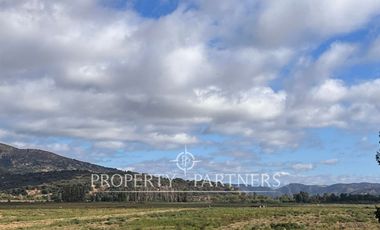 Campo Premium de Alta Productividad Agrícola