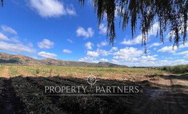 Campo Premium de Alta Productividad Agrícola