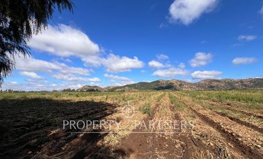 Campo Premium de Alta Productividad Agrícola