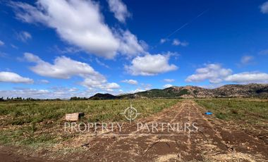 Campo Premium de Alta Productividad Agrícola