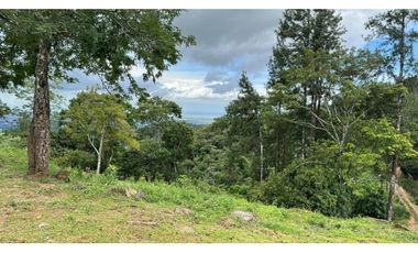 Venta de Terreno con Casa en Cerro Azul, 71 Hectáreas RB