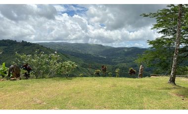 Venta de Terreno con Casa en Cerro Azul, 71 Hectáreas RB