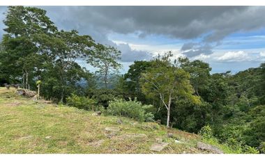 Venta de Terreno con Casa en Cerro Azul, 71 Hectáreas RB