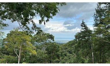 Venta de Terreno con Casa en Cerro Azul, 71 Hectáreas RB